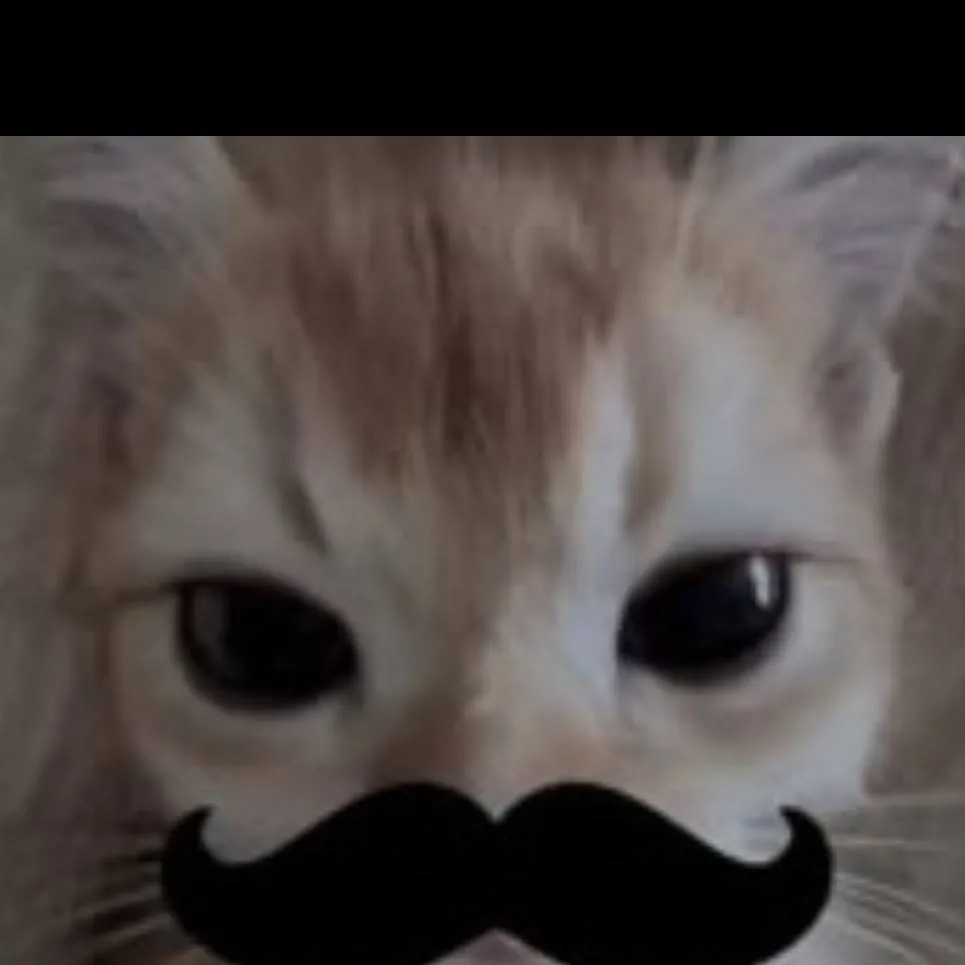 chat with ai character: EL GATOOOO
