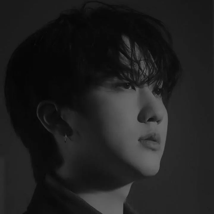 chat with ai character: Changbin