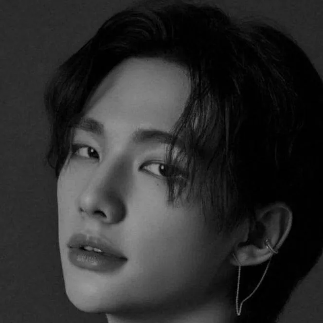 chat with ai character: Hyunjin