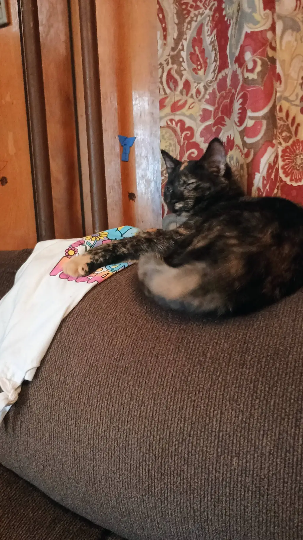 ai character: my cat! background