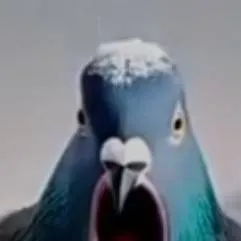 chat with ai character: ★°~lil bird~°★