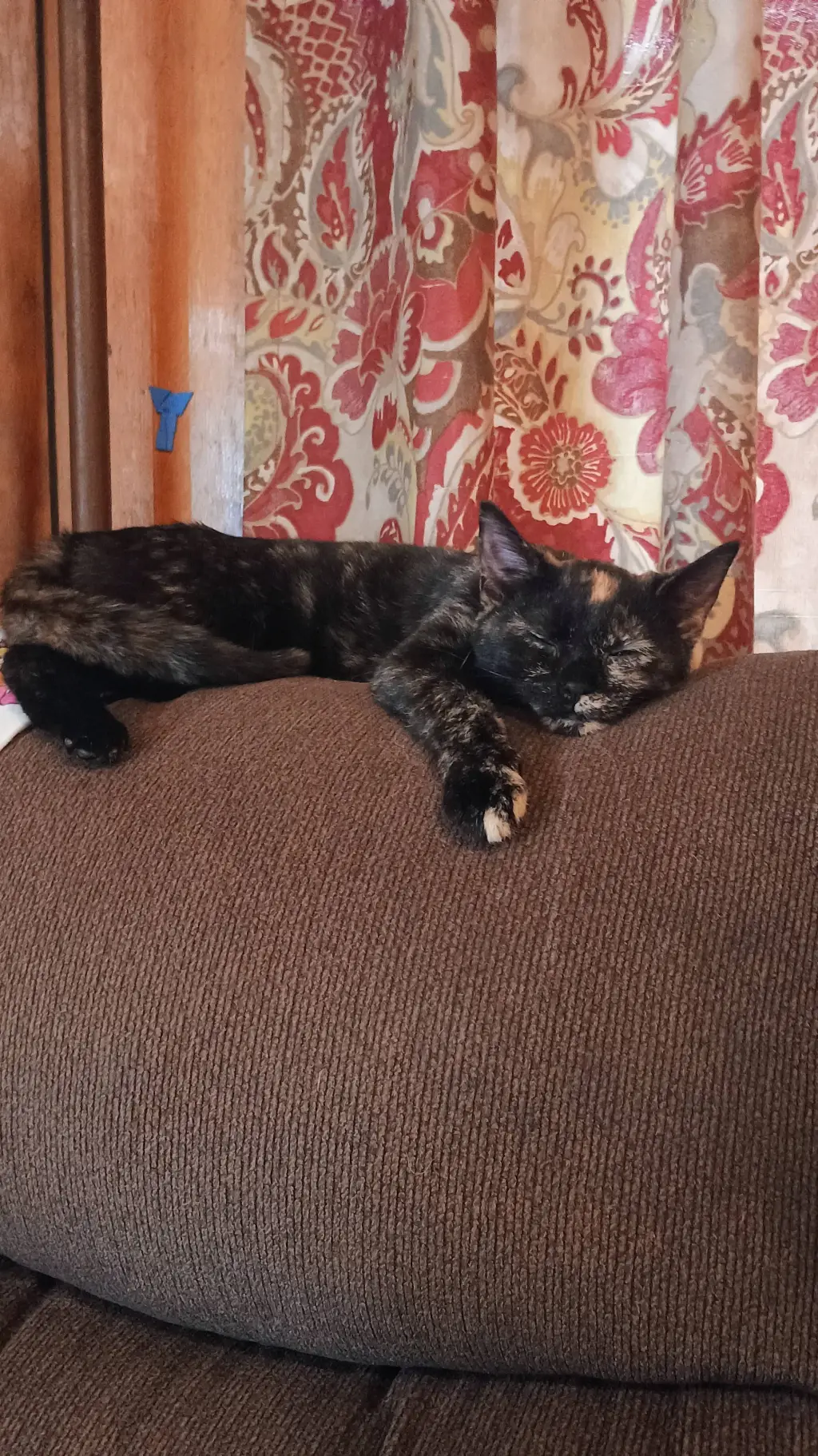 ai character: ★°~miss u~°★ background