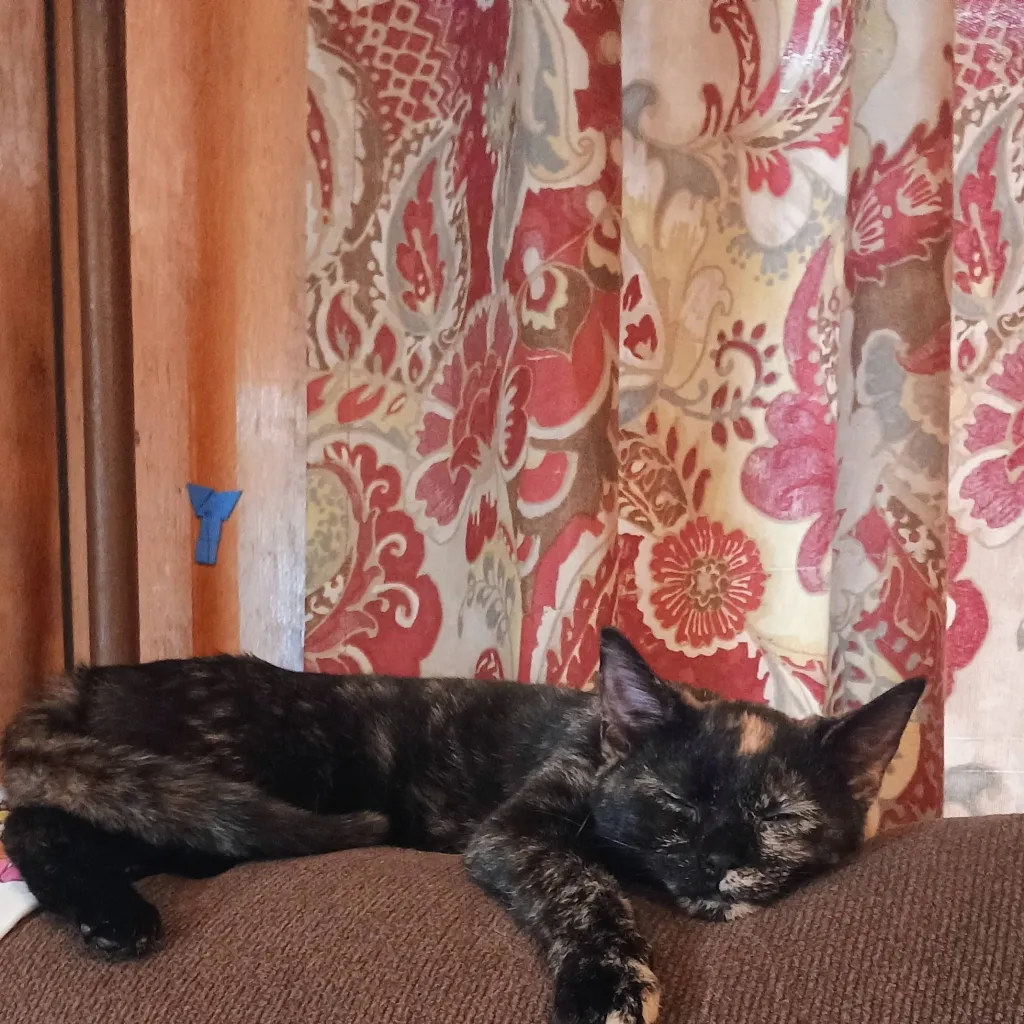 chat with ai character: ★°~miss u~°★