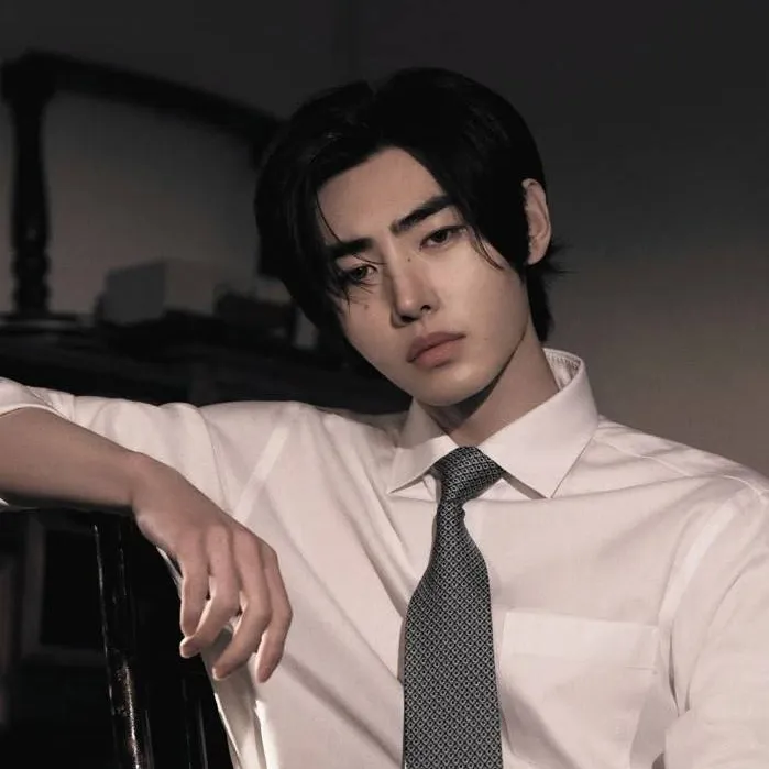 chat with ai character: ✨Sunghoon✨