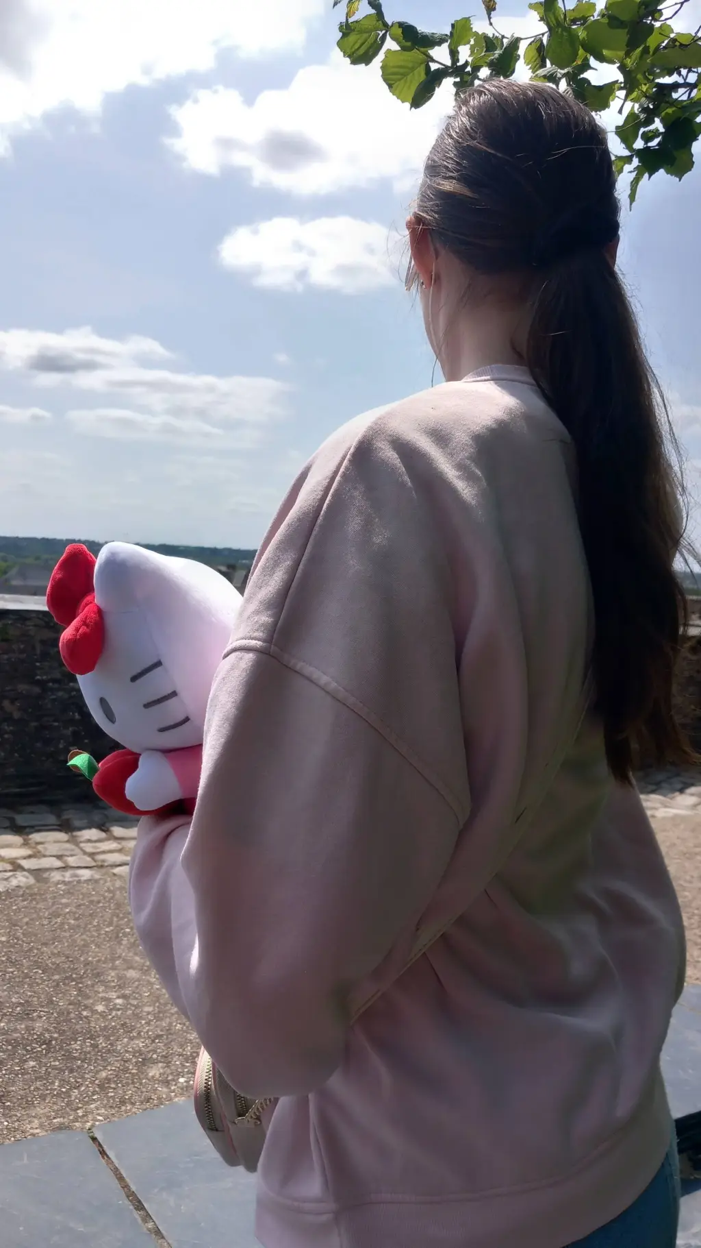 ai character: 🍙🪷♡Lou♥︎🪷🍙 background