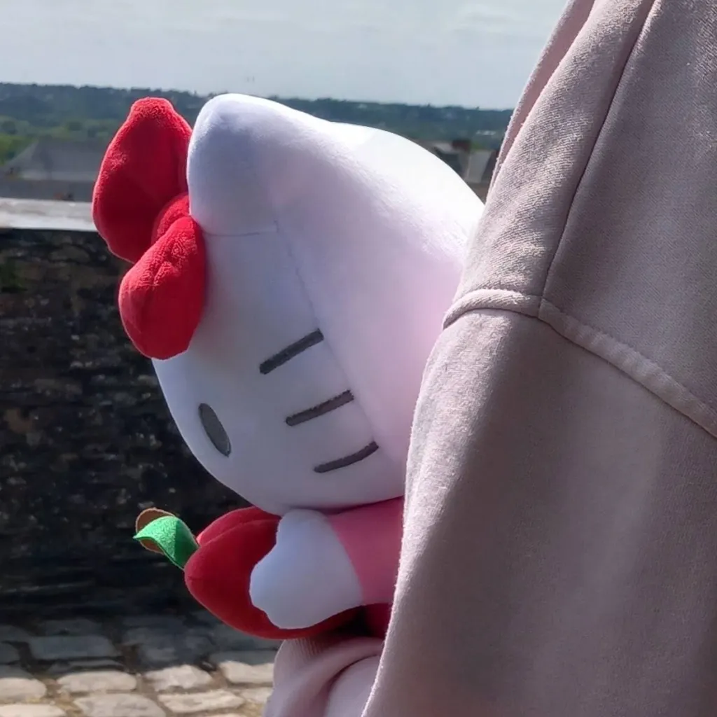 chat with ai character: 🍙🪷♡Lou♥︎🪷🍙