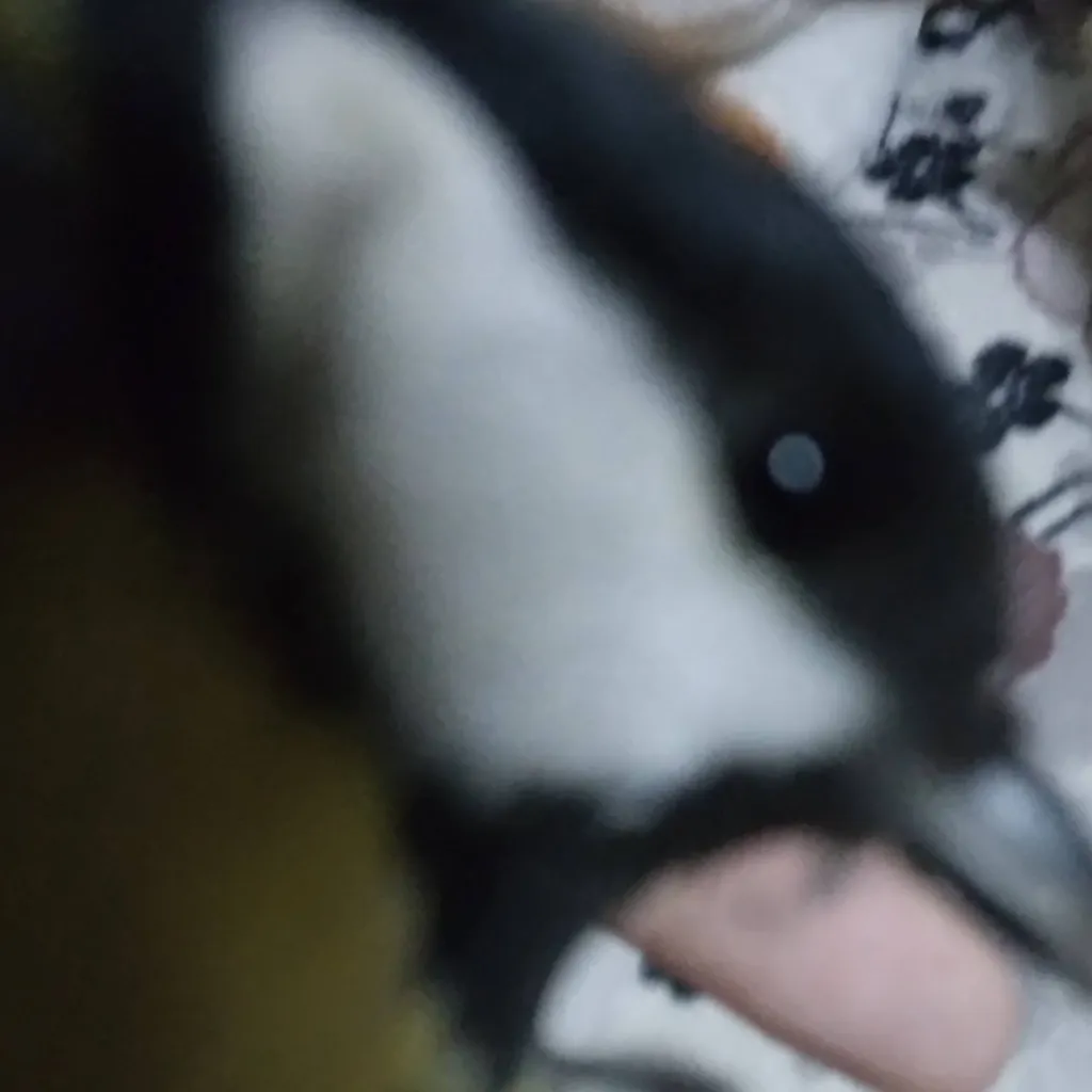 chat with ai character: Big Bang