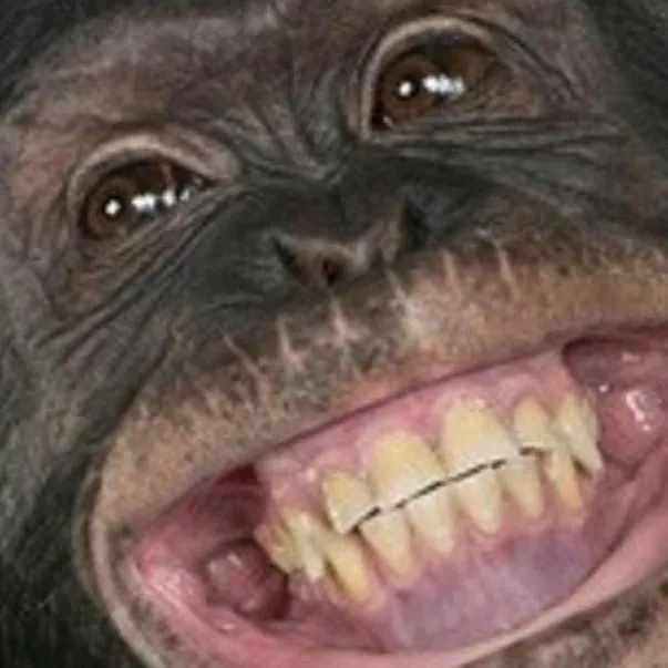 chat with ai character: Estui chat...