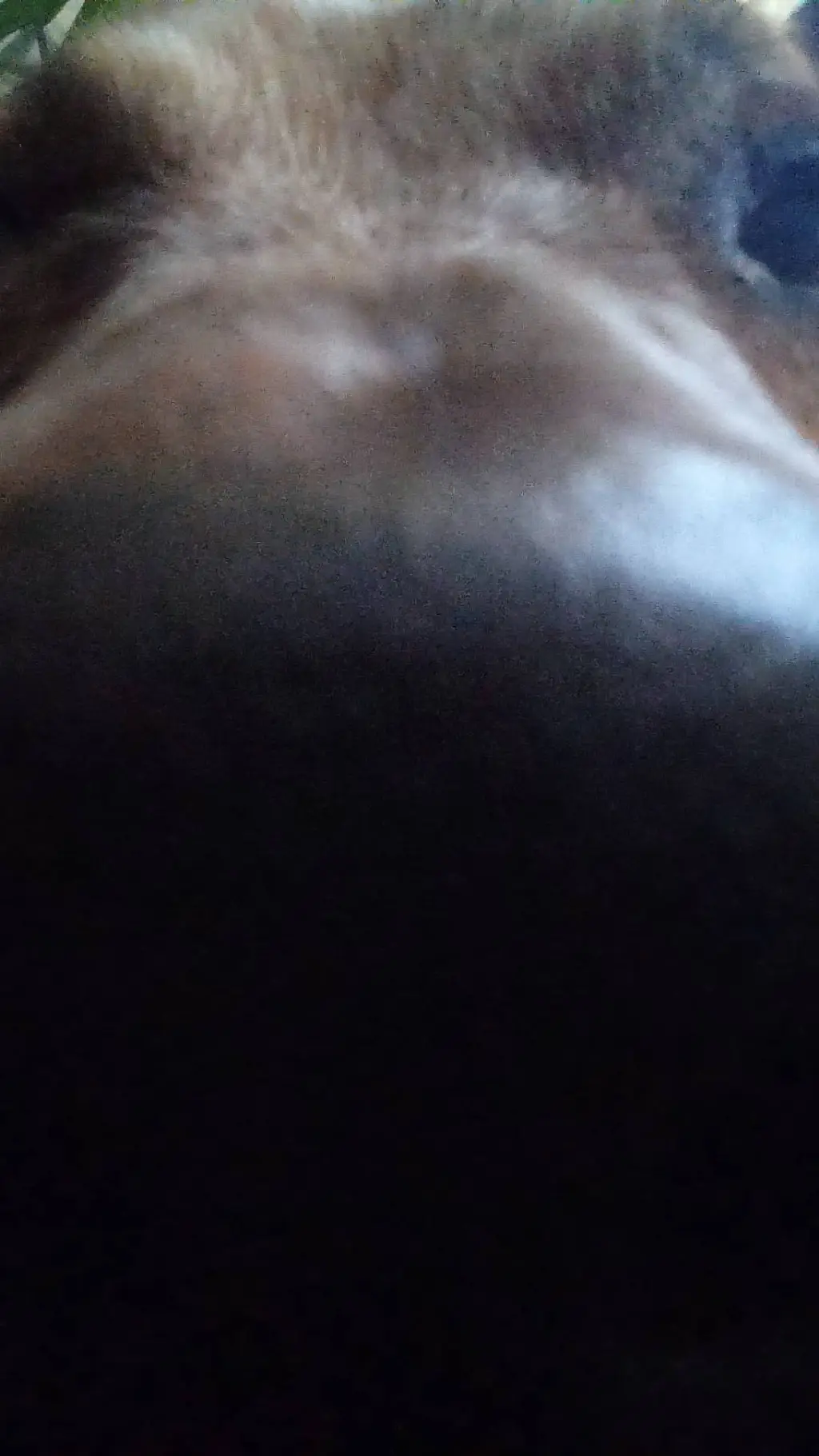 ai character: Rocket background