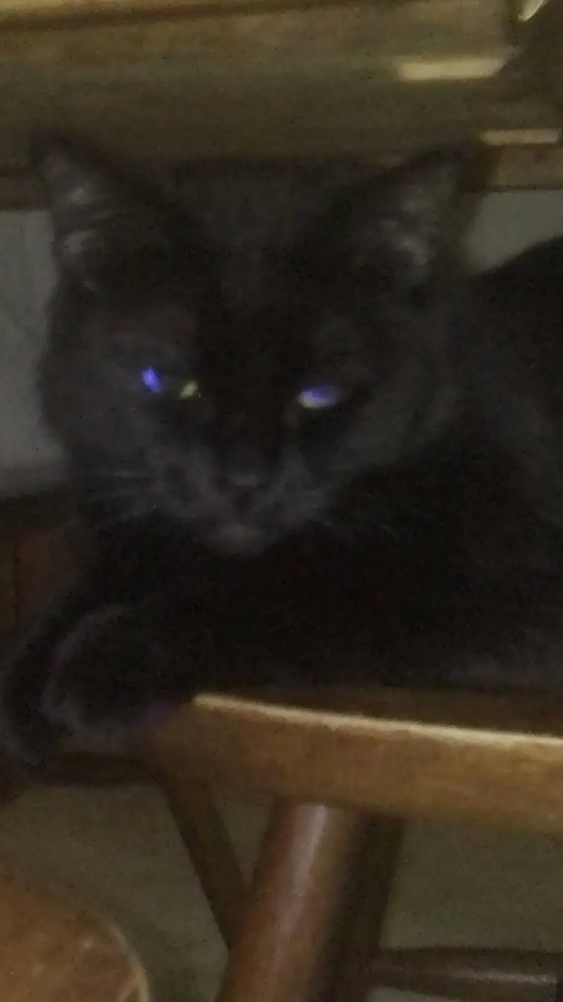 ai character: moon pt2 background