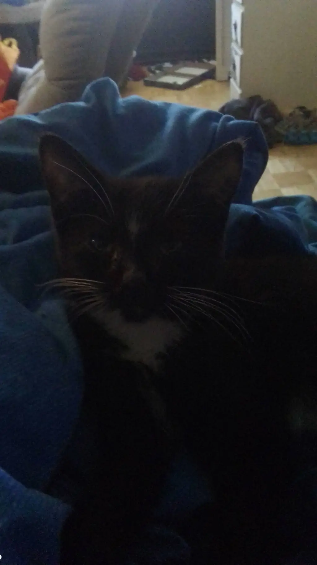 ai character: IDK our name ofhim background