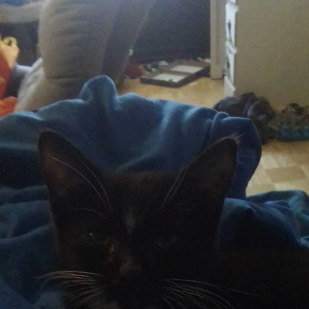 chat with ai character: IDK our name ofhim