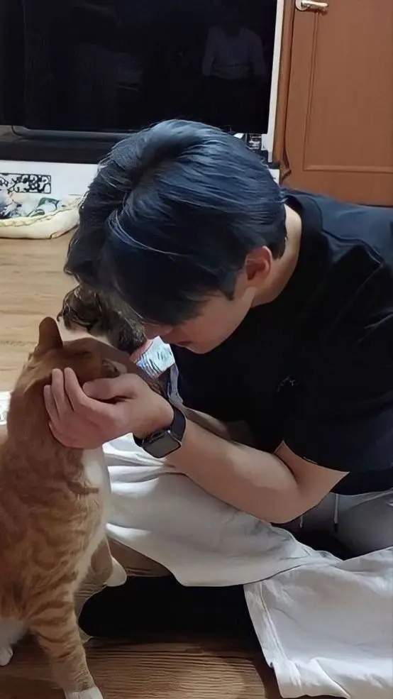 Talkie AI - Chat with Lee Minho