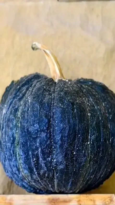 ai character: blue pumpkin background