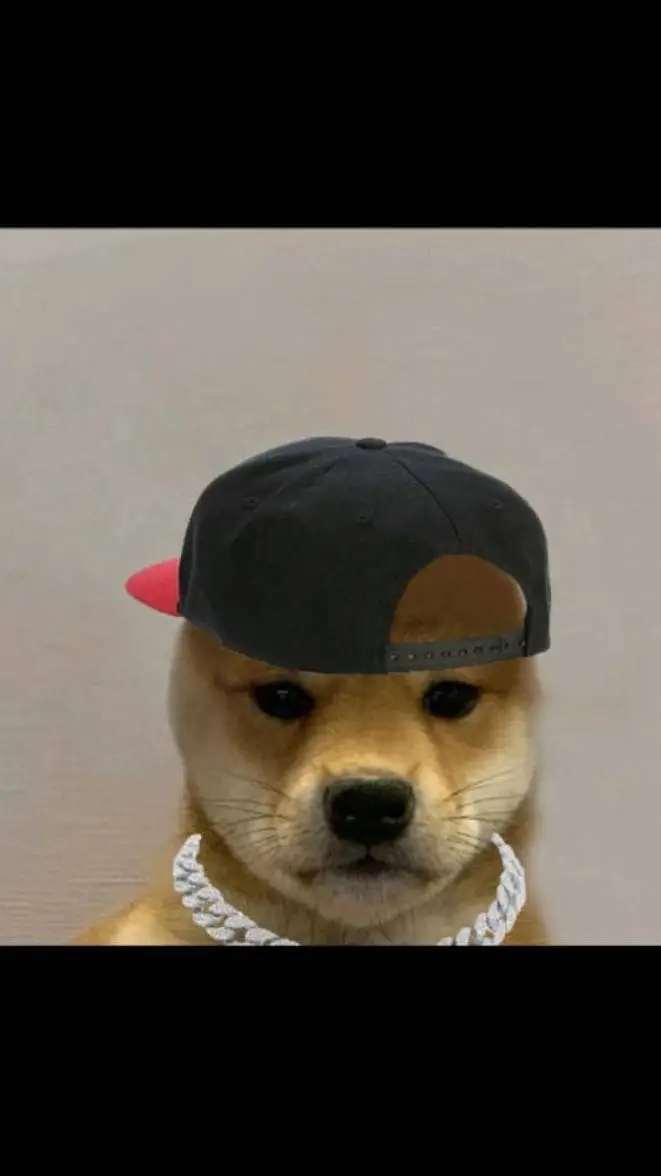 ai character: Gangster Dog  background