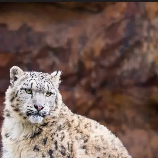 chat with ai character: Emma 