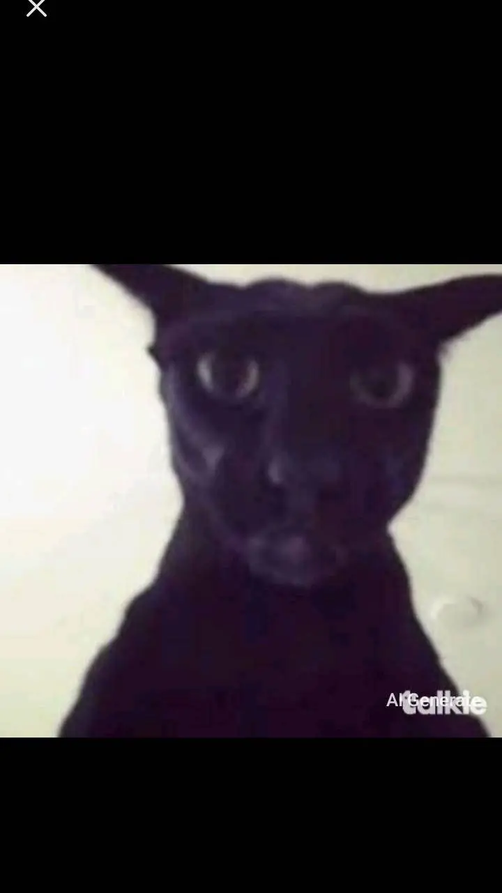 ai character: Larry the cat. background