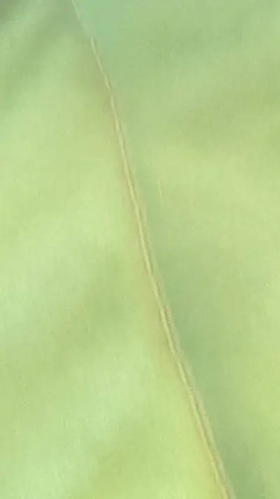 ai character: White furry background