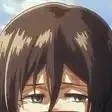 chat with ai character: Mikasa Ackermann