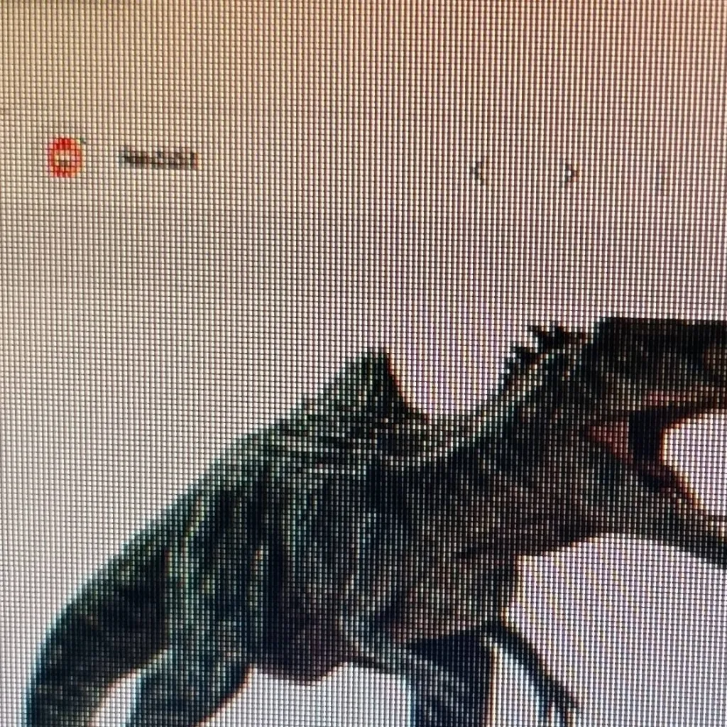 chat with ai character: Gigantosaurio 