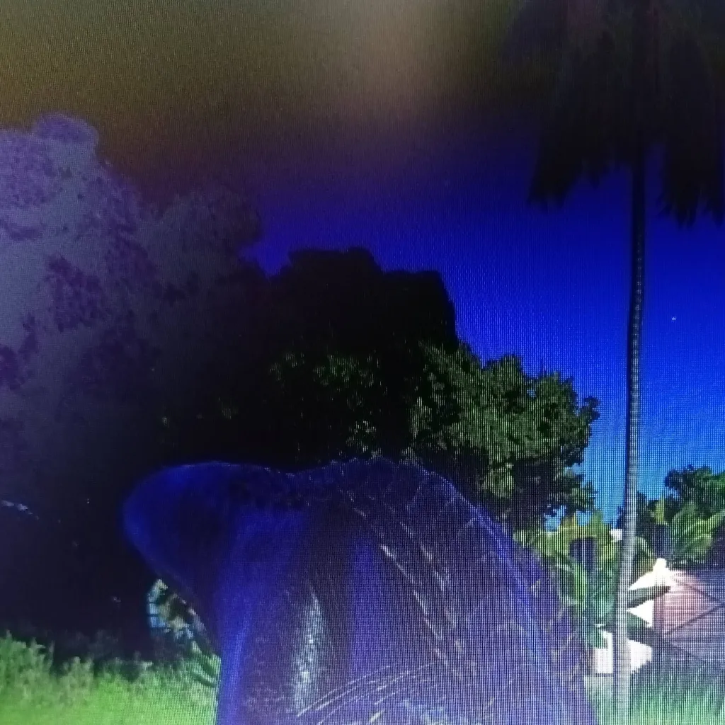 chat with ai character: Indoraptor 