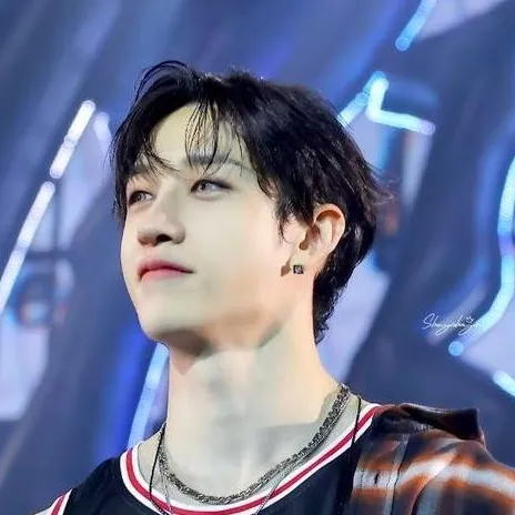 chat with ai character: 🐺Bangchan🍜