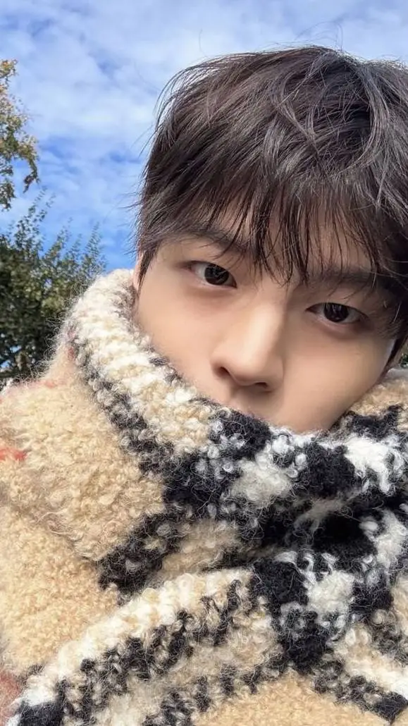 ai character: Seungmin승민 skz fr background