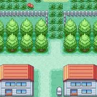 chat with ai character: Pokémon