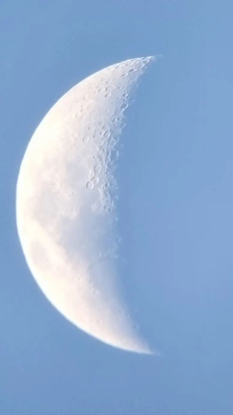 ai character: Moon (Luna) background