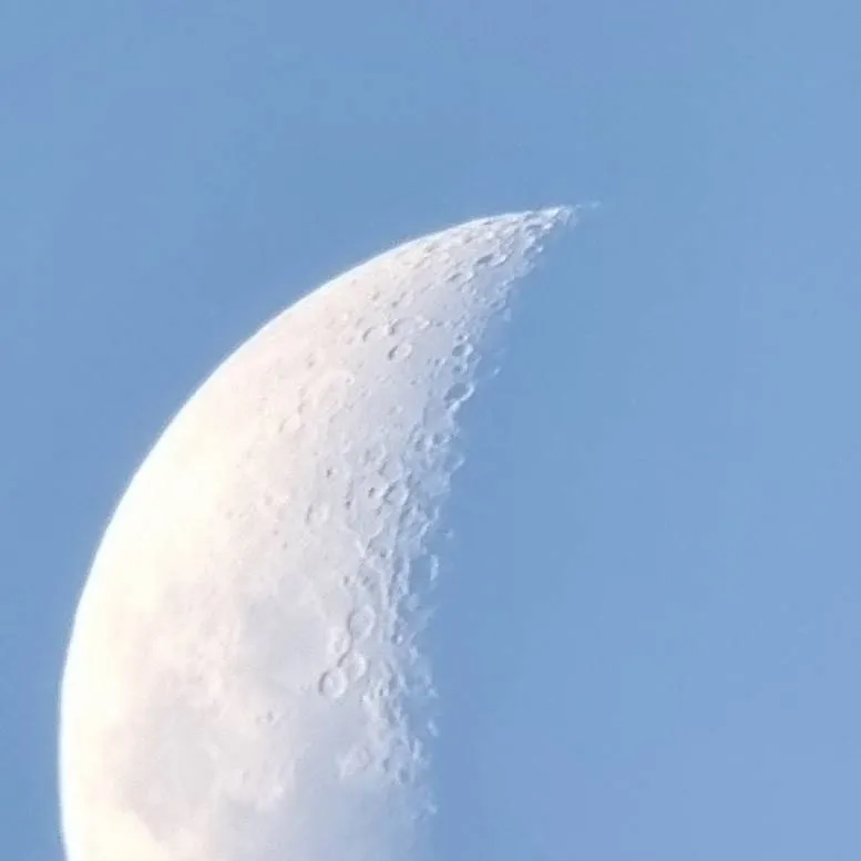 chat with ai character: Moon (Luna)