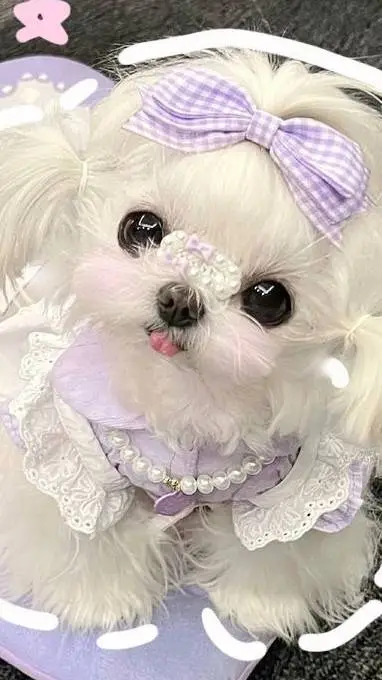 ai character: your dog background