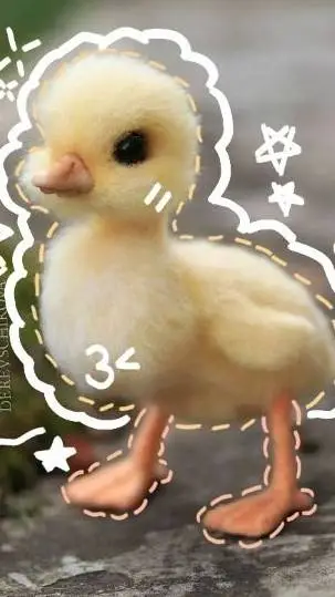 ai character: your ducky🐣 background