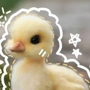 chat with ai character: your ducky🐣