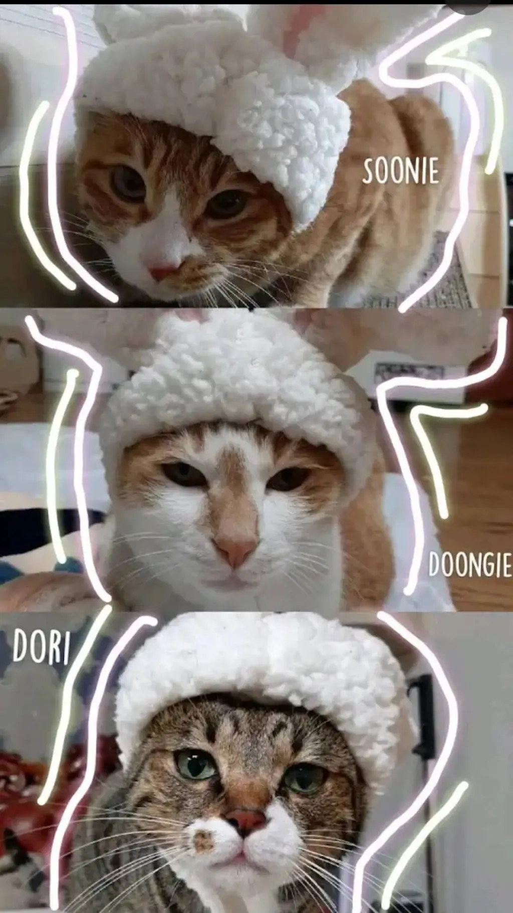 ai character: Lee Know background