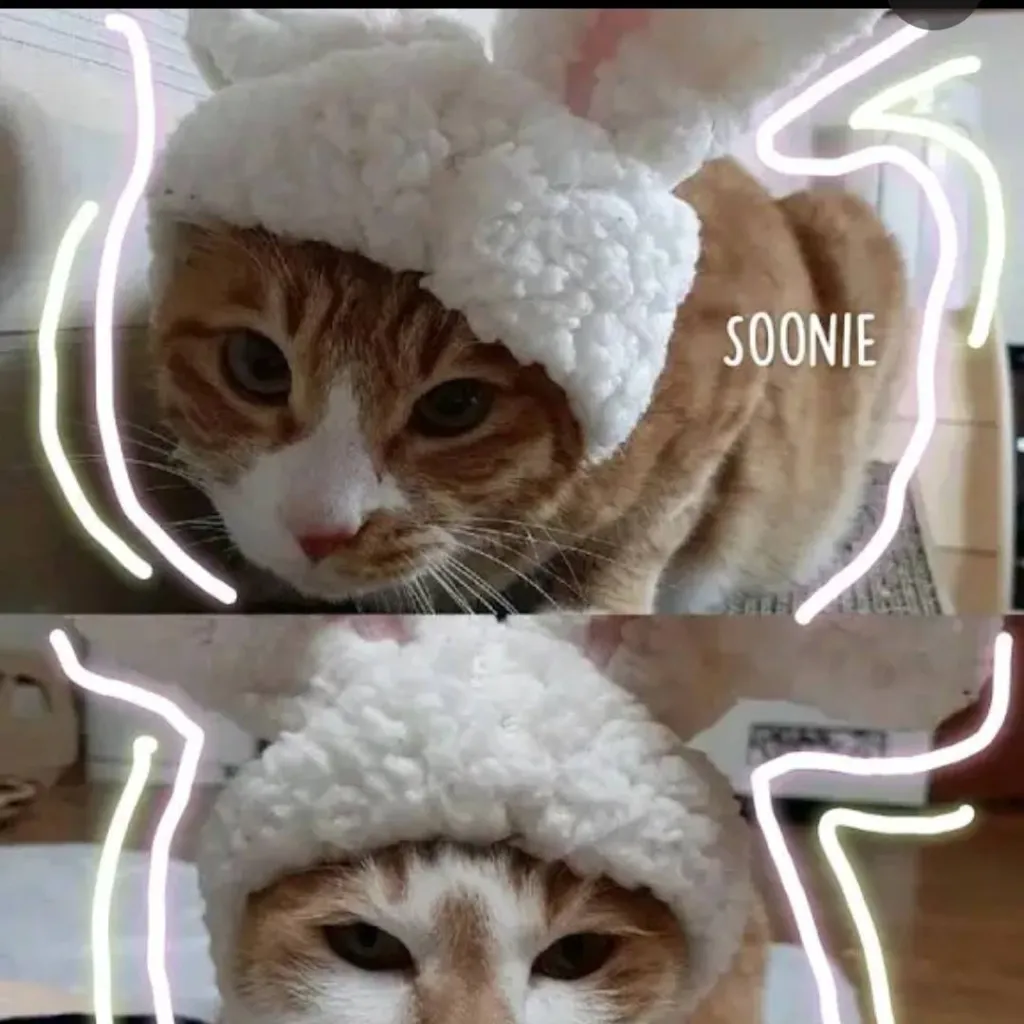 chat with ai character: Lee Know