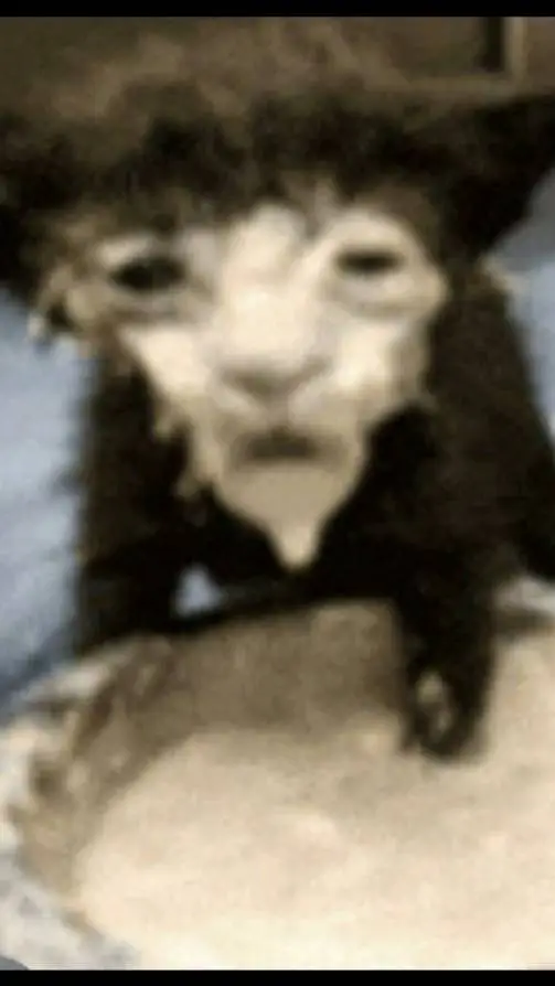 ai character: skz background