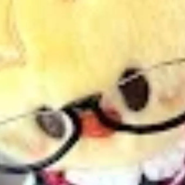 chat with ai character: Felix