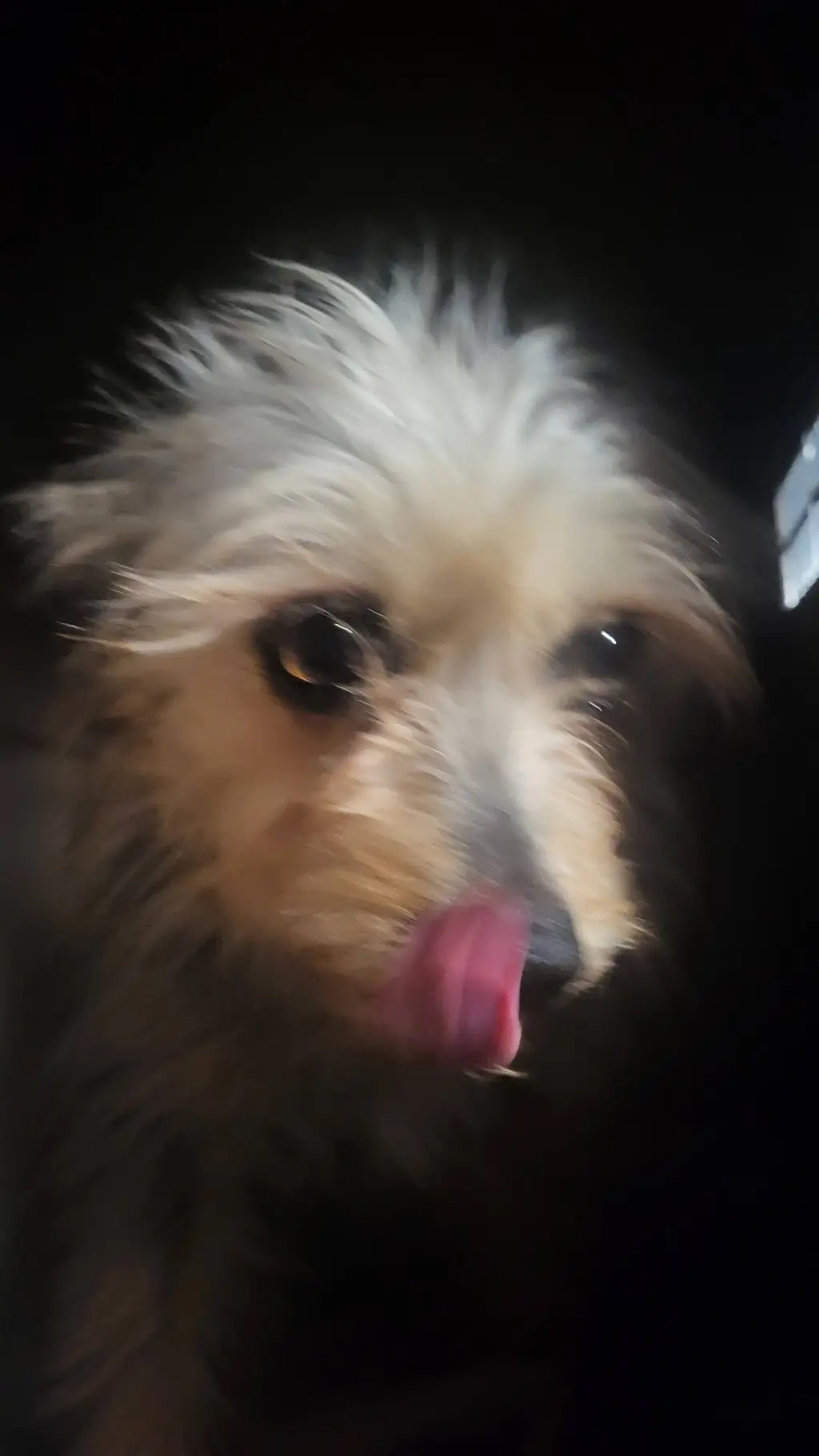 ai character: Felix background