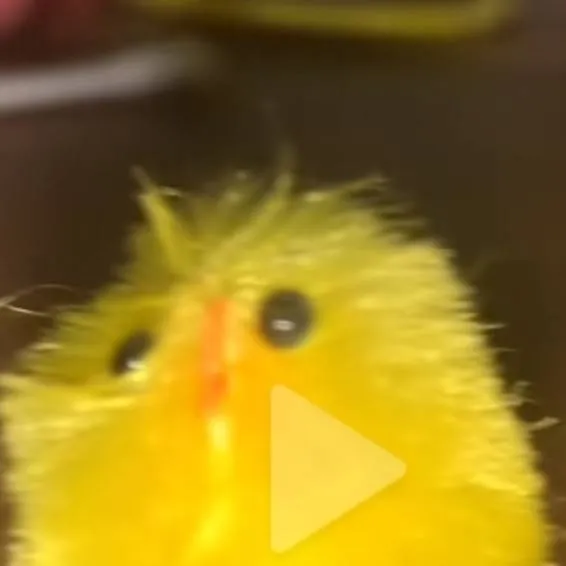 chat with ai character: Felix