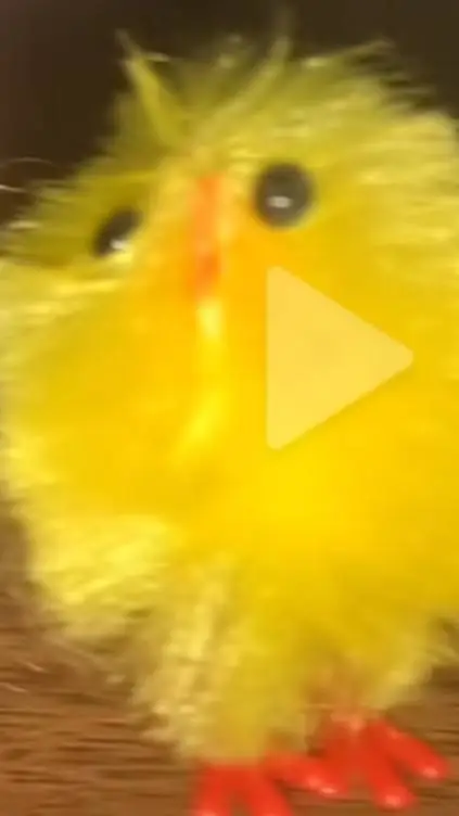 ai character: Felix background