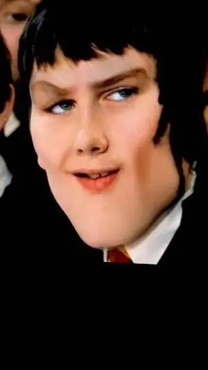 ai character: parry hotter background