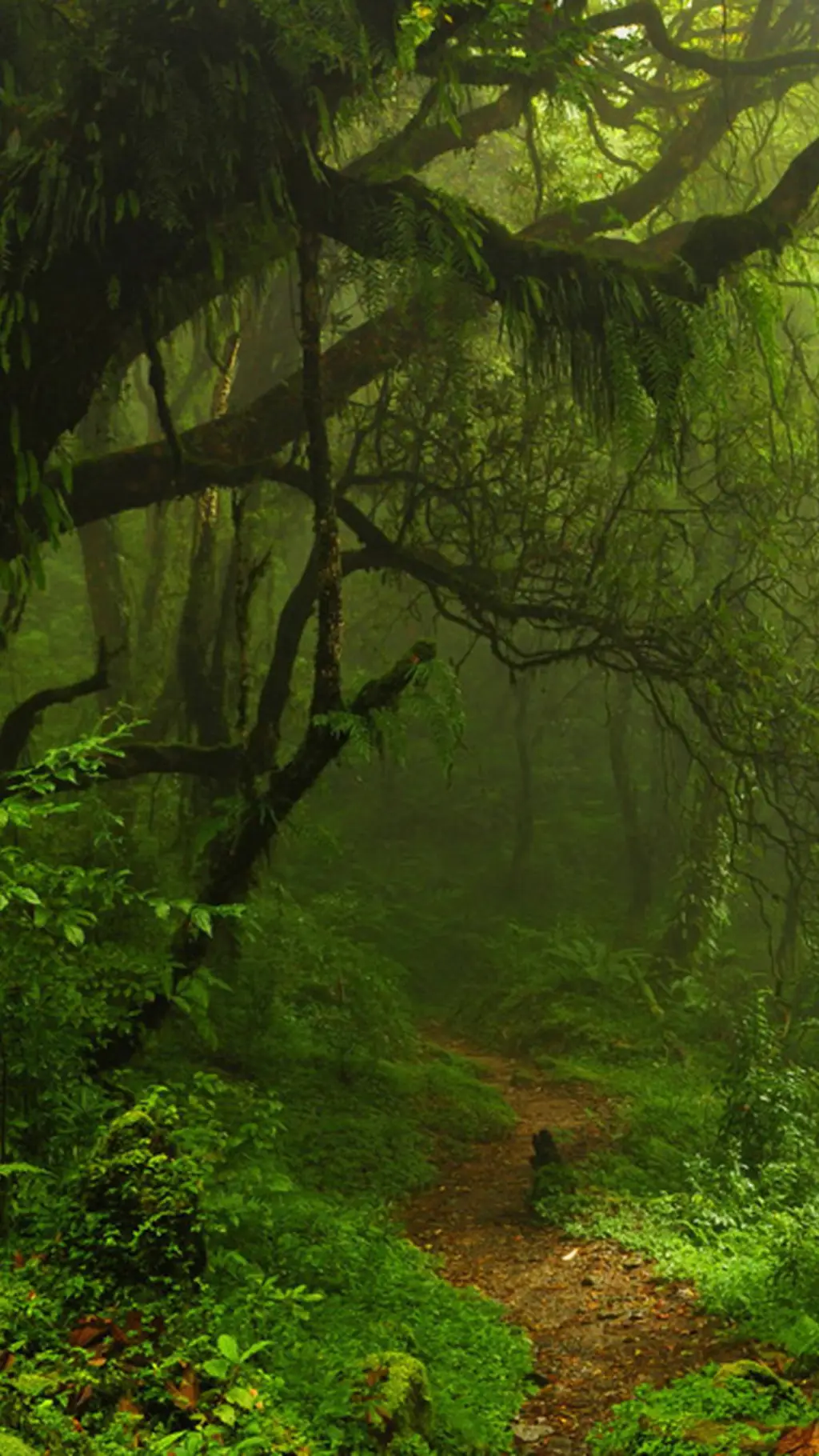 ai character: perdidos background