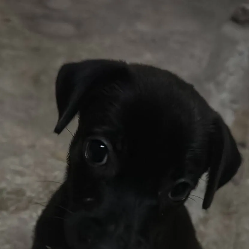 chat with ai character: ♪Body ♪