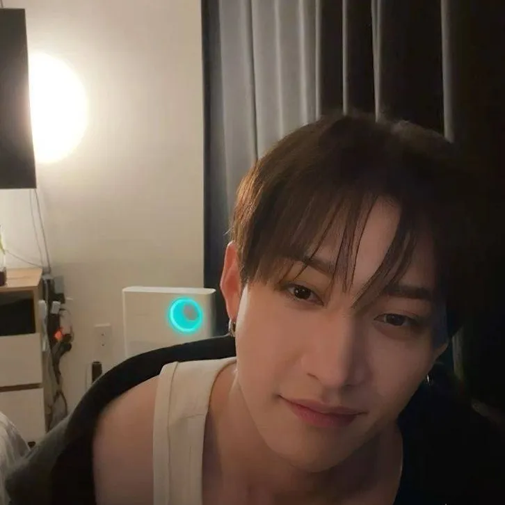 chat with ai character: Bangchan 