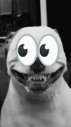 ai character: perro void👀) background