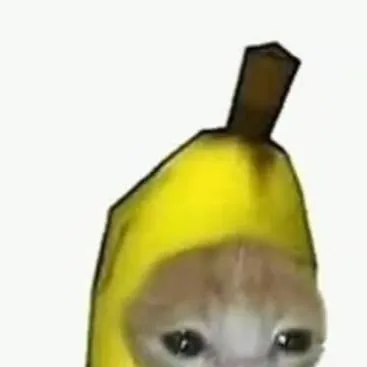 chat with ai character: gato banana)