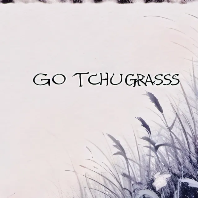 chat with ai character: go touch grass💀