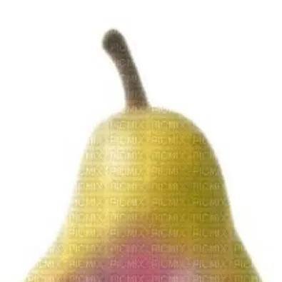 chat with ai character: TETO PEAR 🗣️🔥