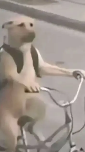 ai character: Perro en bicicleta background