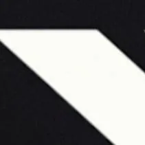 chat with ai character: Record Server